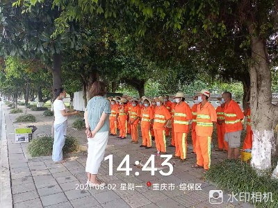 重庆高新区镇街城乡环境卫生及园林绿化一体化管护服务项目